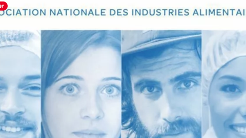 Capture d’écran page présentation l’ANIA